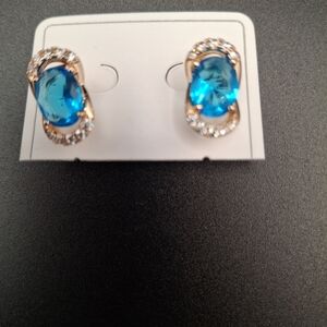 Elegant Blue and Gold Earrings